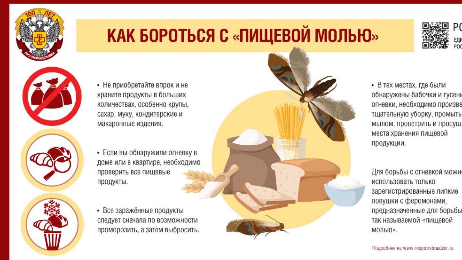 Продукт моли. Пищевая моль в продуктах. Моли еда. Пищевая моль борьба с ней в домашних условиях. Пищевая моль вредна для одежды.