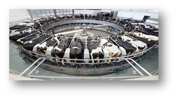 ООО «Закрома»