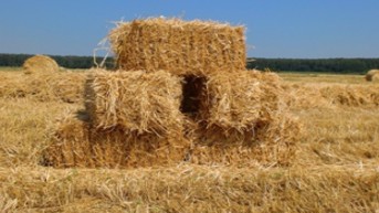Заготовка сена